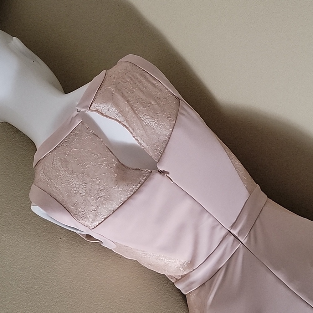 Bcbgmaxazria Dusty Rose Maxi Dress